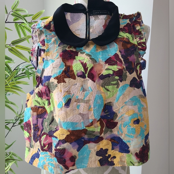 Zara Crop Top - Picture 1 of 5